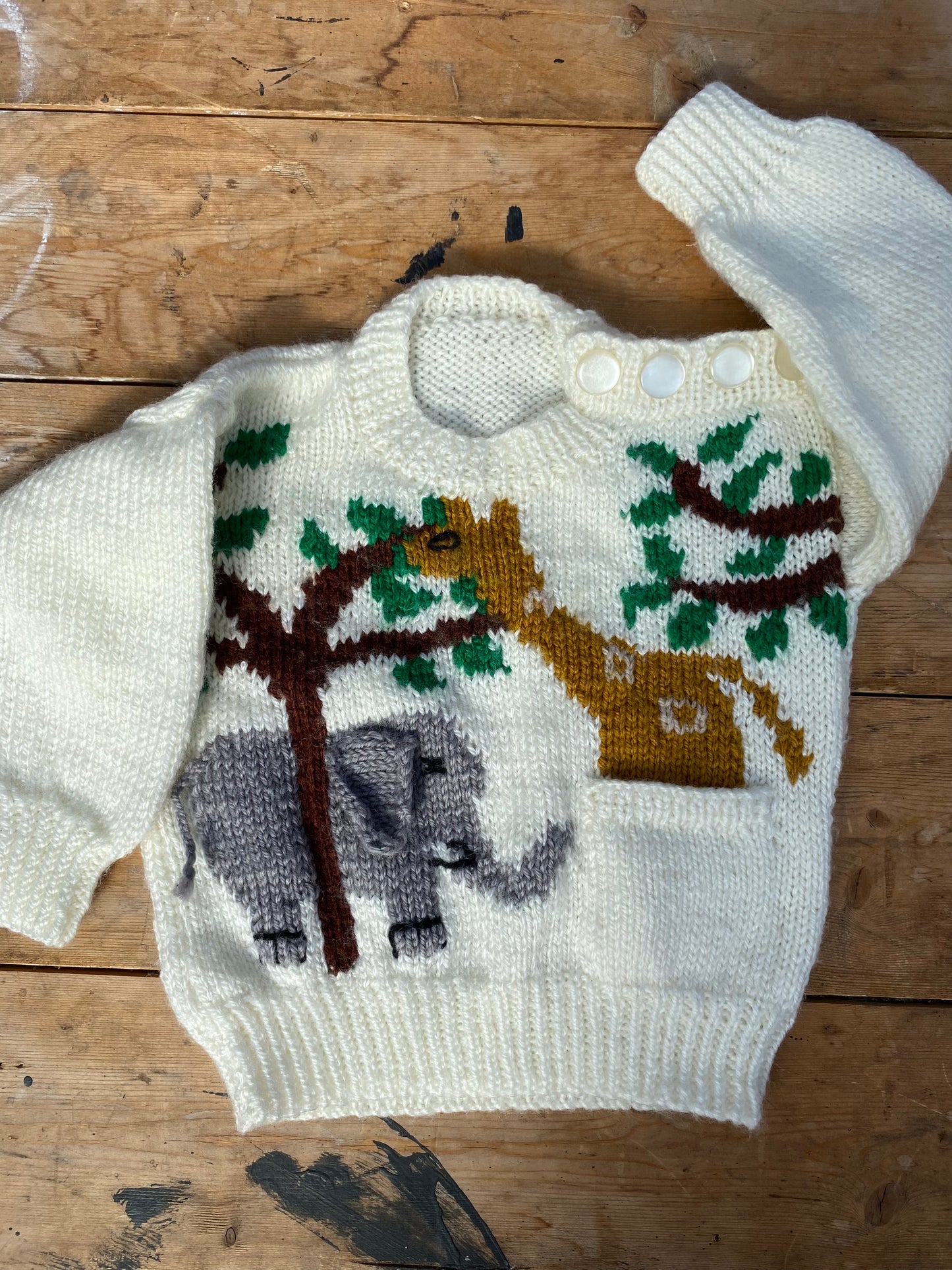 Amazing Jungle logo jumper (6-12 months)