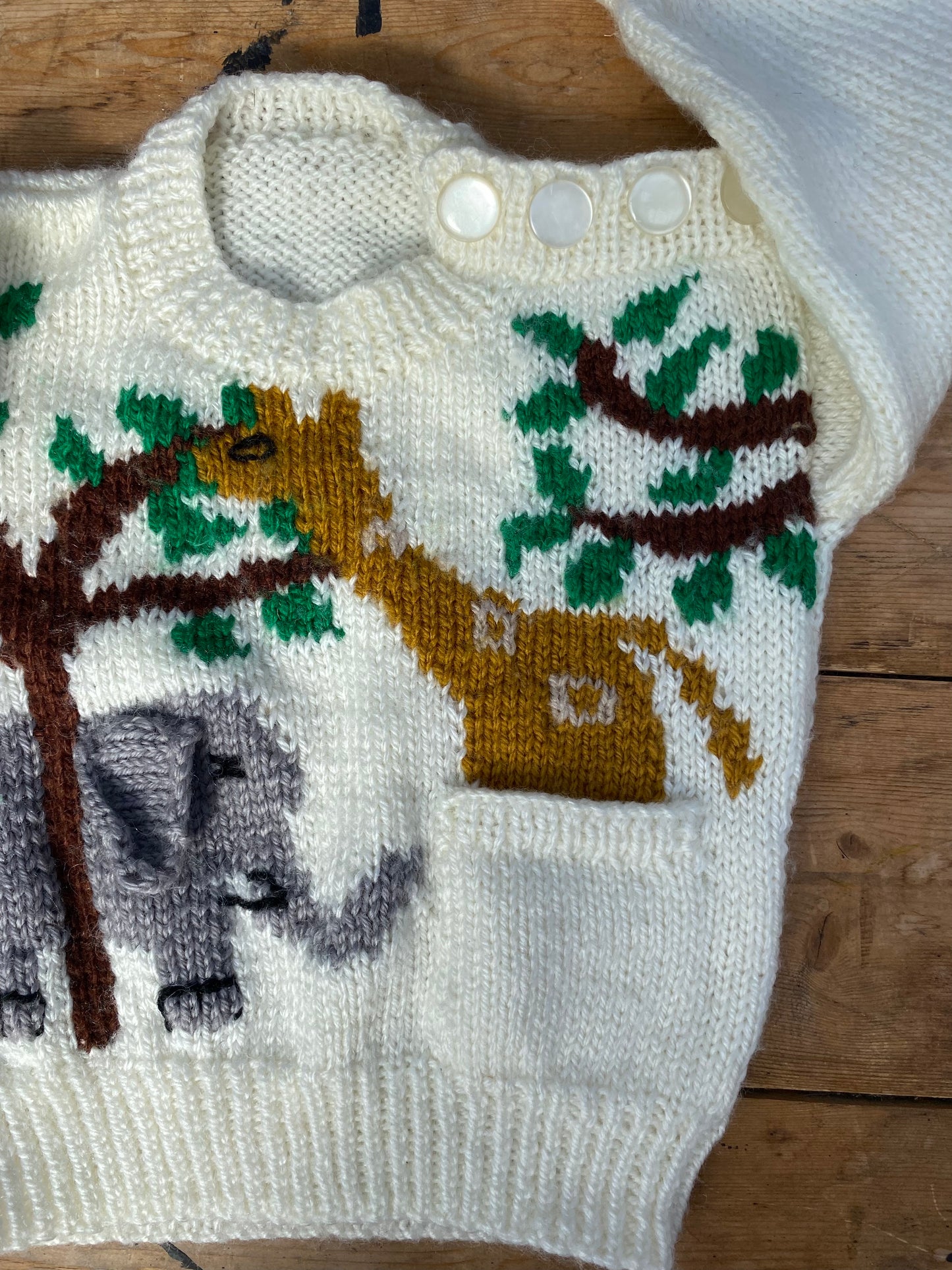 Amazing Jungle logo jumper (6-12 months)