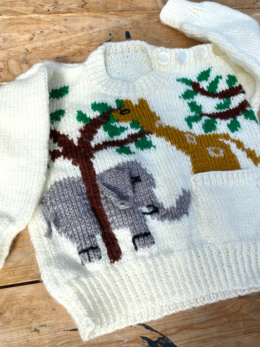 Amazing Jungle logo jumper (6-12 months)